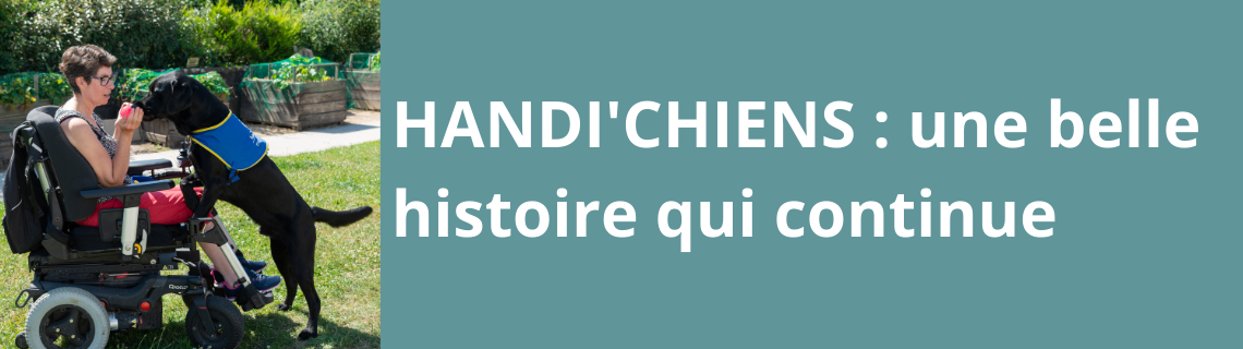 HANDI'CHIENS : une belle histoire qui continue